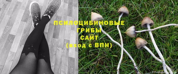 амф Баксан