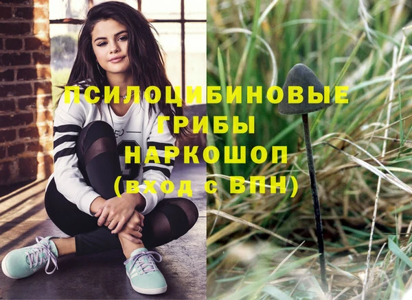 твердый Зеленокумск