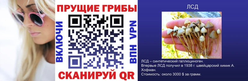 Псилоцибиновые грибы GOLDEN TEACHER  Лангепас 